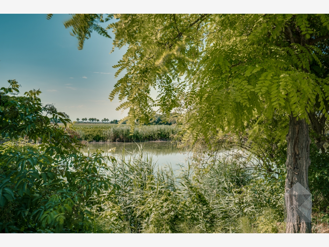 Splendida bifamiliare affacciata sulla Piave Vecchia