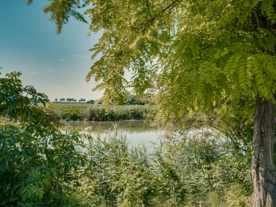 Veneto Casa